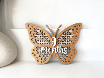 Butterfly Monthly Milestone Set